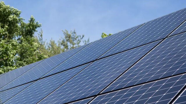 تصویر 2 از پنل خورشیدی برای باغ